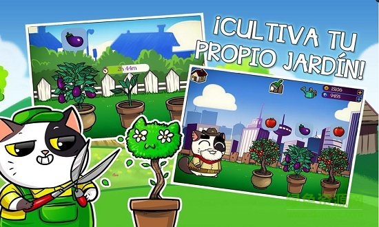 虚拟猫咪宠物 虚拟猫咪宠物手游下载