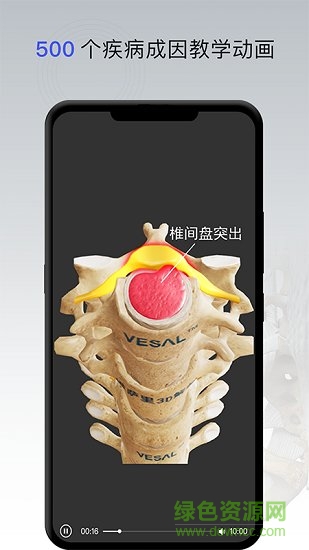 骨科专家app