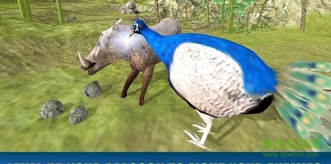 孔雀模拟器中文版下载