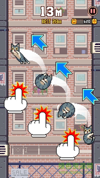 猫咪跳高高手机版 猫咪跳高高最新版