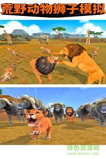 荒野动物狮子模拟游戏下载