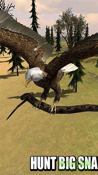 猎鹰模拟器2游戏下载 猎鹰模拟器2安卓版下载