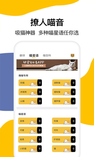 猫语翻译 猫语翻译app下载