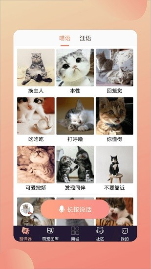 人猫交流翻译器app下载