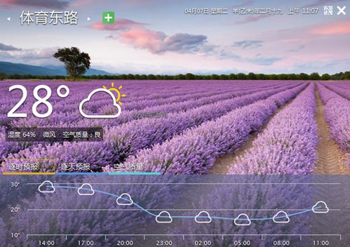 停课铃电脑最新版