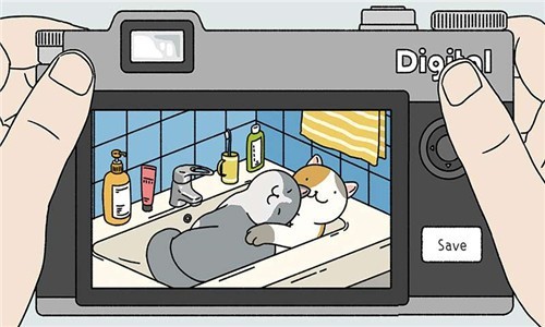 一起来养猫 一起来养猫下载