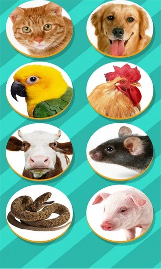 动物交流模拟器app下载