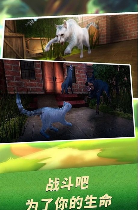 家猫生存模拟器中文版下载