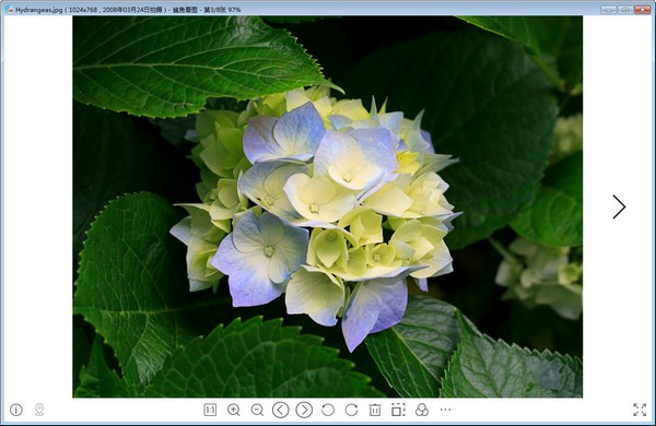 鲨鱼看图官方 鲨鱼看图软件