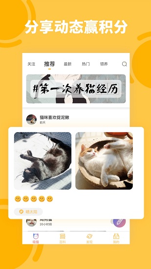 萌翻猫语翻译器手机版
