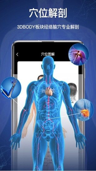 3d人体模型app下载