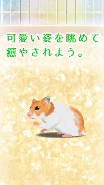 治愈的仓鼠养成手游下载