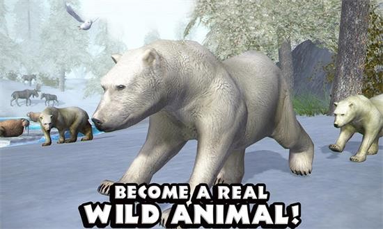 模拟北极熊 模拟北极熊游戏下载