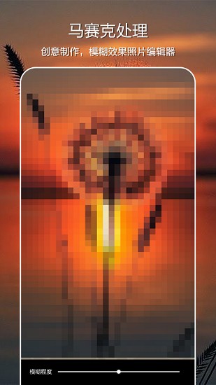 moldiv照片编辑拼图软件下载