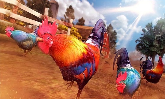 斗鸡模拟器游戏下载