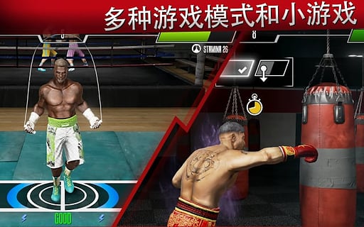 real boxing 2游戏