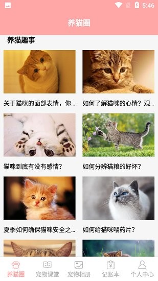 遇见我的猫最新免费版