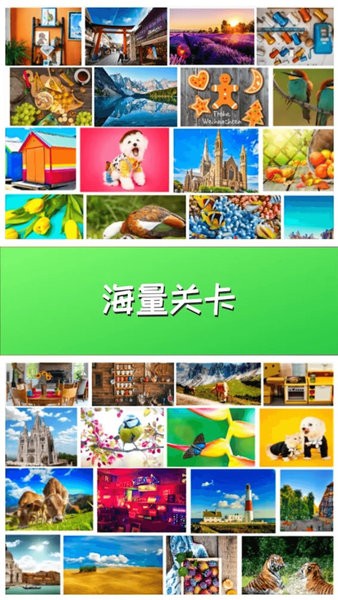 天天找找茬游戏