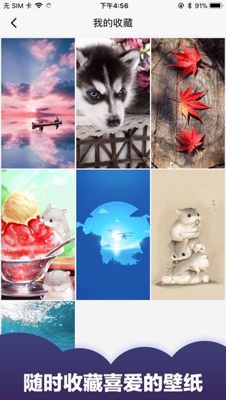 小熊壁纸app下载