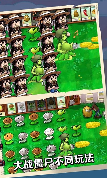 植物就爱打僵尸游戏下载