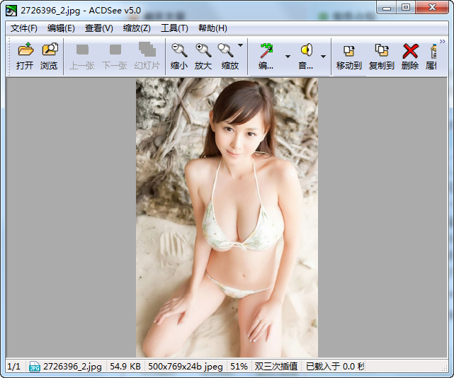 ACDSee精简版下载 ACDSee绿色精简版